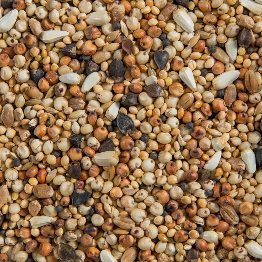 Dove Mixture