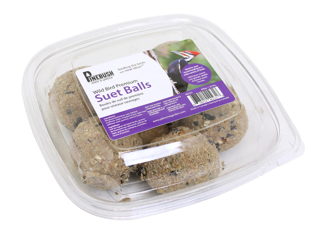 Premium Suet Balls - 6 Pack