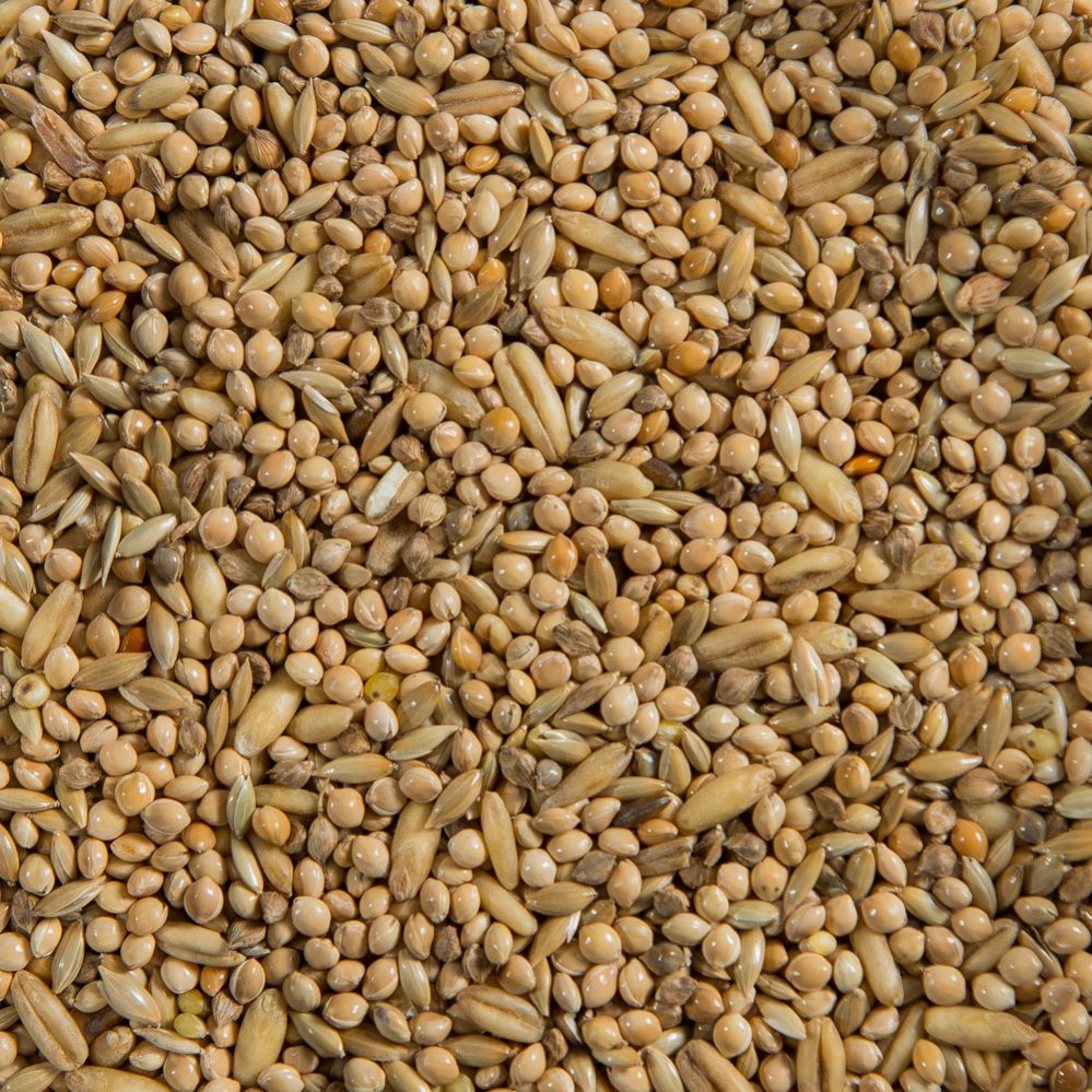 Variety Mixture