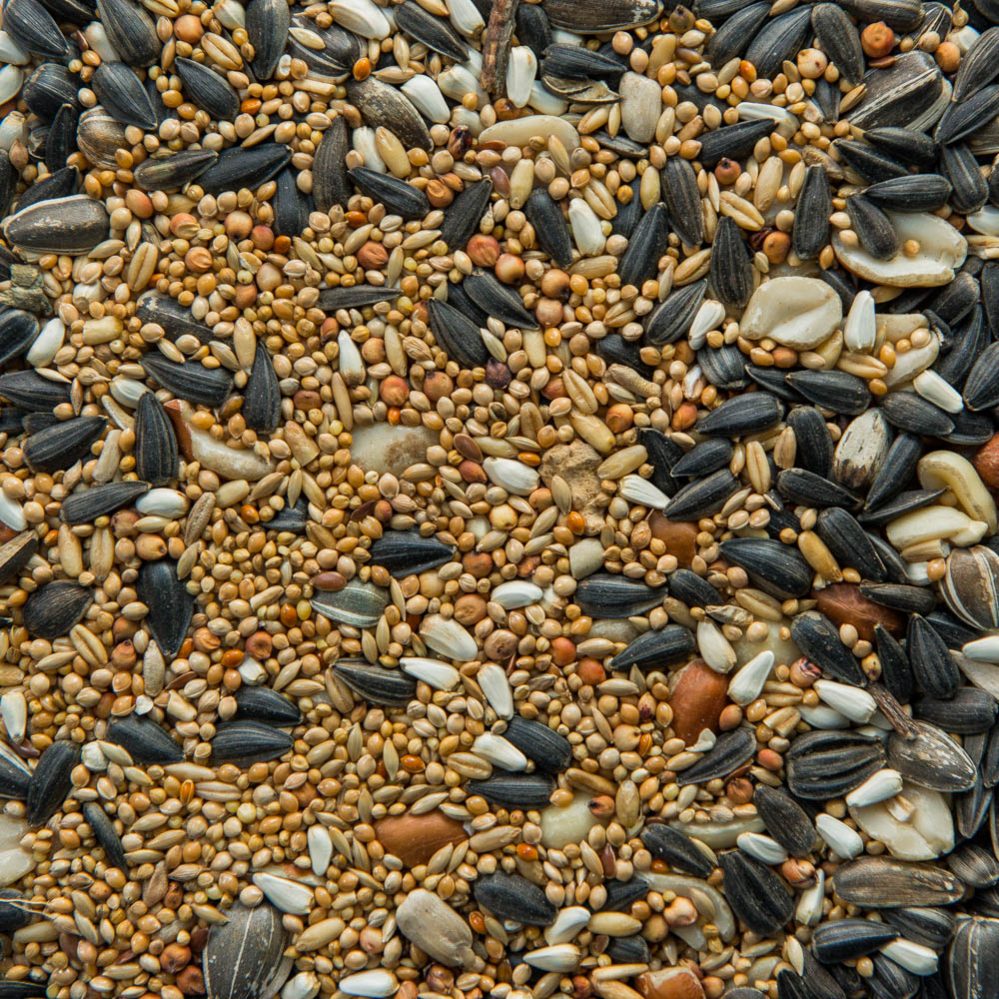 Outdoor Mixtures