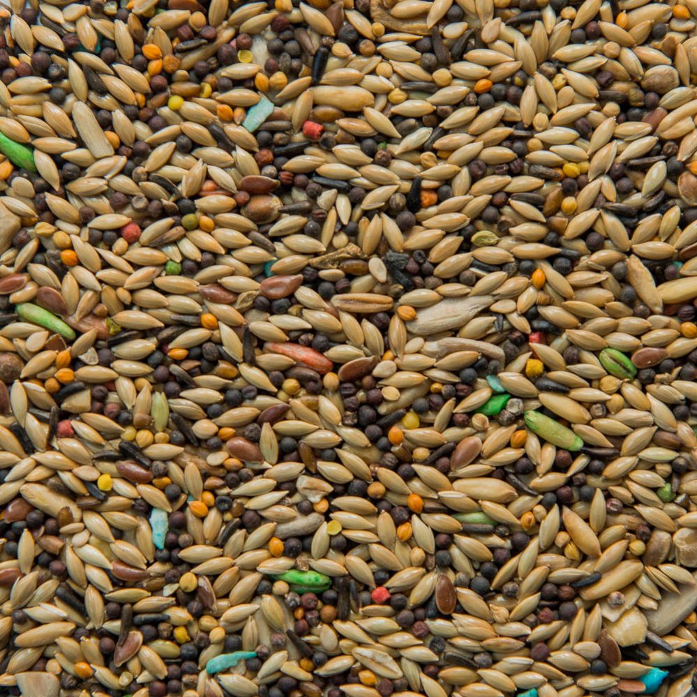 Caged Bird Mixtures
