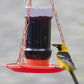 Oriole Jelly Wild Bird Feeder