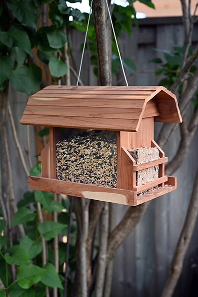 Barn Style Bird Feeder with Suet Holders