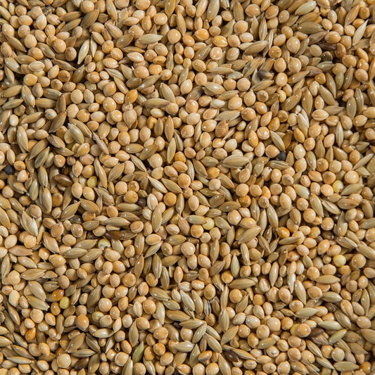 Budgie Mixture