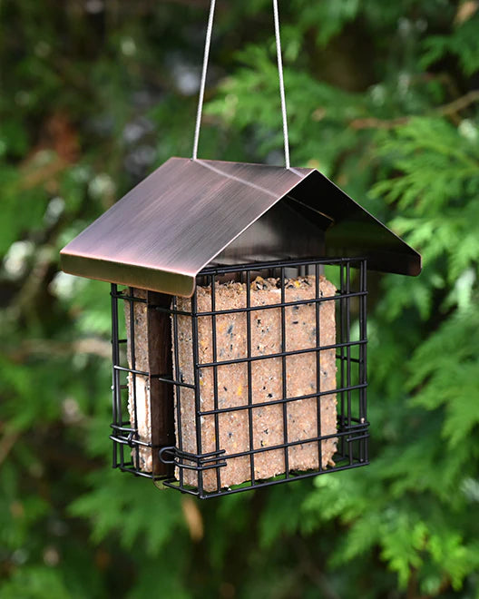 Regal Style Double Suet Cake