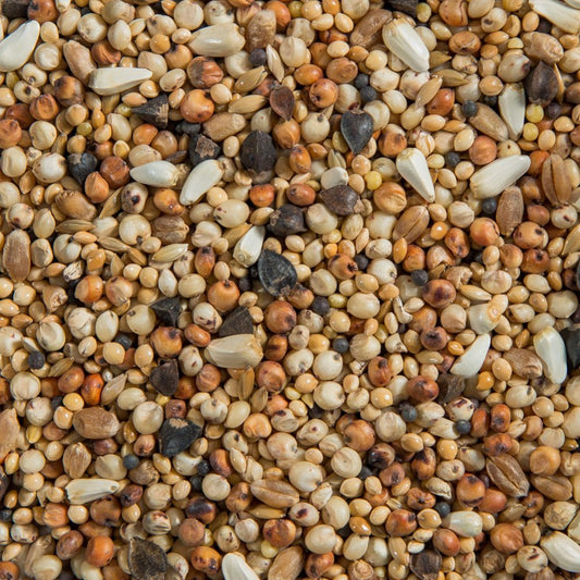Dove Mixture