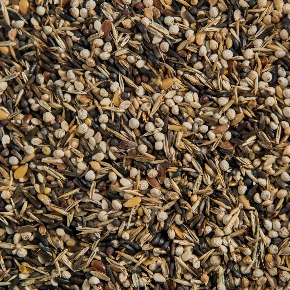 Euro Siskin Mixture