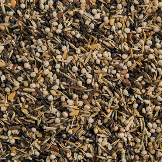 Euro Siskin Mixture