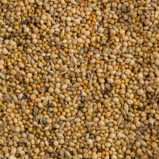 Finch Mixture