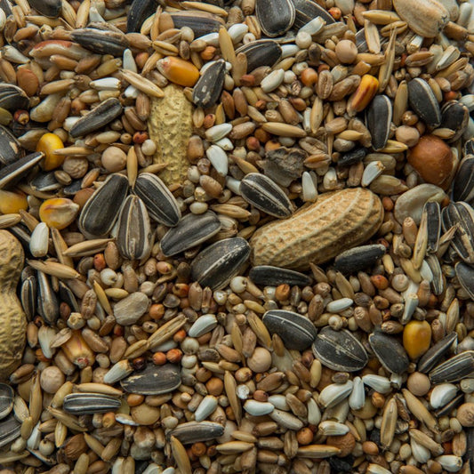 Parrot Mixture