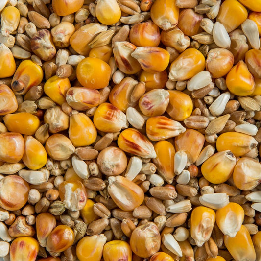 No-Pea Race Mixture